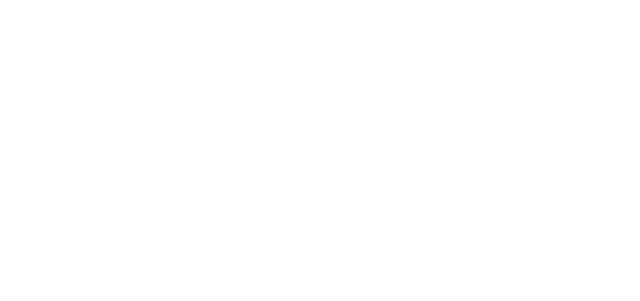 ALX951 Garage